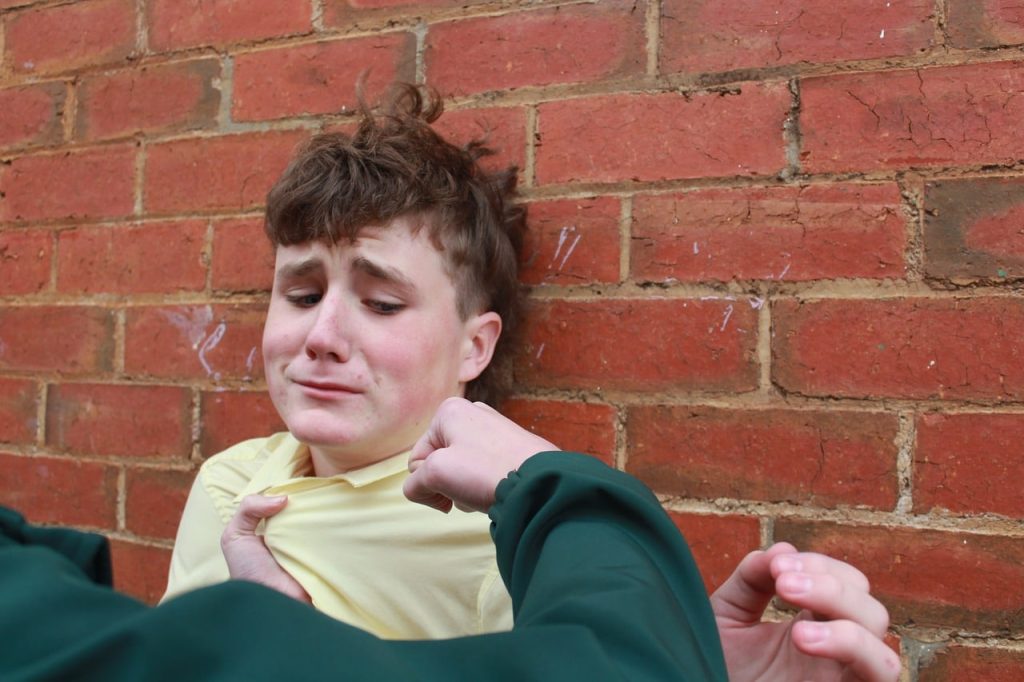 bully, fear, boy-7376145.jpg
