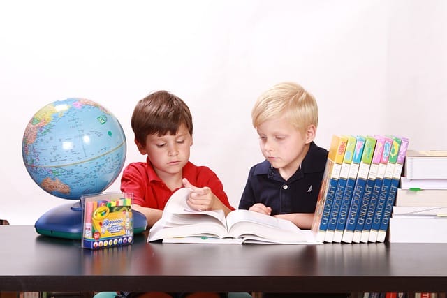 two young boys studying at a desk with books and a globe
